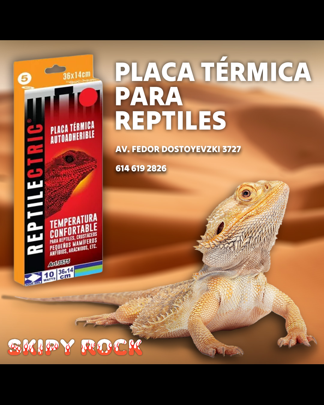 Diseño de redes sociales para psicólogos